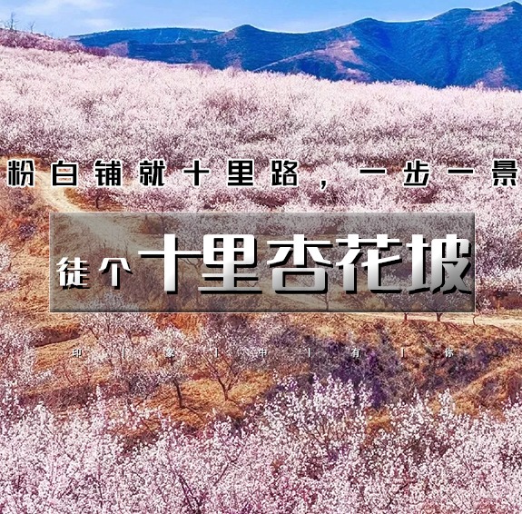 周末1天【十里杏花坡】粉白铺就十里路の十里杏花坡穿越8公里<初级>