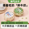 【F】神气水牛 高钙鲜烤奶皮65g/罐营养酥脆水牛奶奶芙饼奶香浓郁奶贝 商品缩略图0