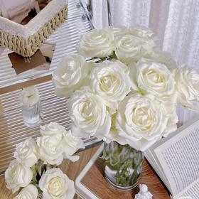 【月光锻铸】玫瑰-白色系-白色40cm 10枝  | 新客福利