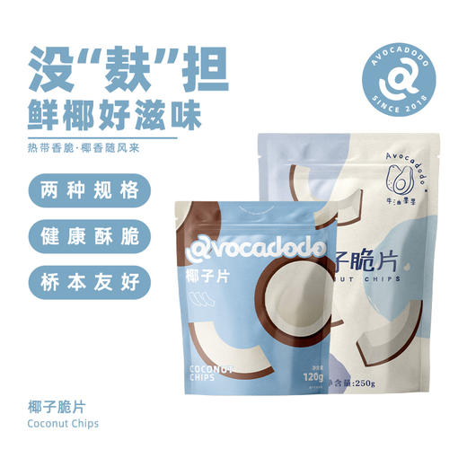 Avocadodo牛油果果 纯椰子片脆片低温烘烤海南非油炸未加盐糖健康桥本零食 商品图4