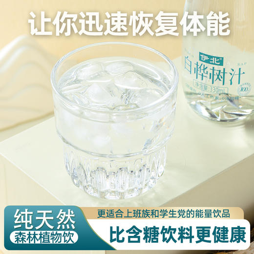 小兴安岭森灵玉液 白桦树汁原汁 寒地白桦的生命琼浆【禁公域销售】 商品图6