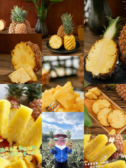 【超级低价】9.9元/颗  海南金钻凤梨（2600g左右） 商品图2