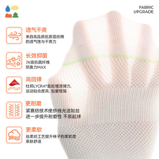 【U靠山儿童无骨船袜】森林棠新疆长绒棉儿童透气抗菌无骨短袜2双装21342501 商品图3