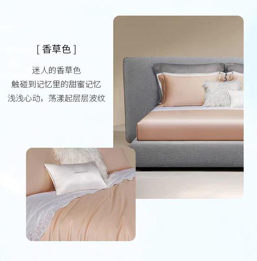 10楼 罗卡芙 天丝四件套 --江亭揽胜240*240cm  吊牌价 3980元 活动价 1480元 商品图2