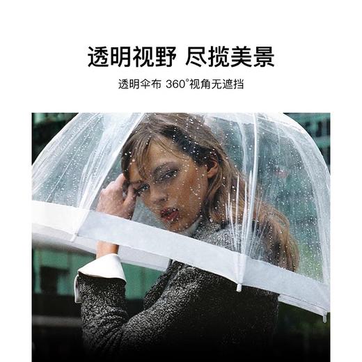 FULTON富尔顿 英国进口UV Birdcage-1 鸟笼伞 商品图3