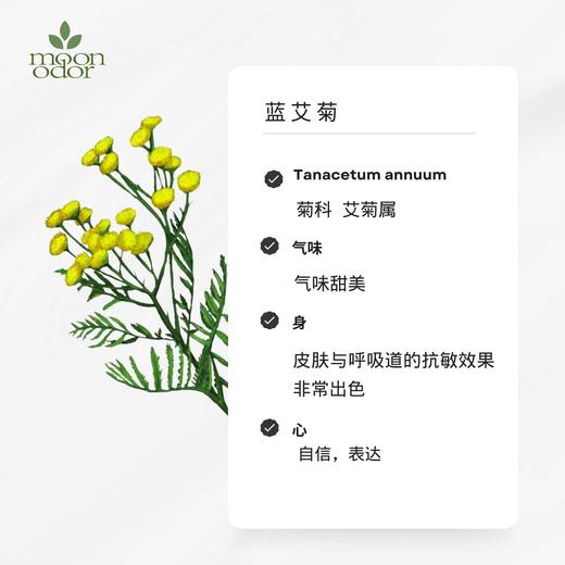 有机蓝艾菊精油  【香气036】 商品图0