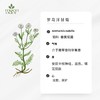 有机罗马洋甘菊精油  【香气035】 商品缩略图0