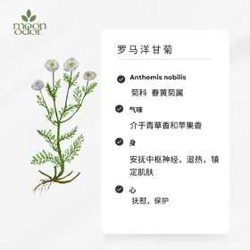 有机罗马洋甘菊精油  【香气035】