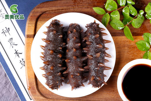 山东烟台鲜食海参 原生态 零添加 原汁原味 500g/袋（6头/10头） 商品图4