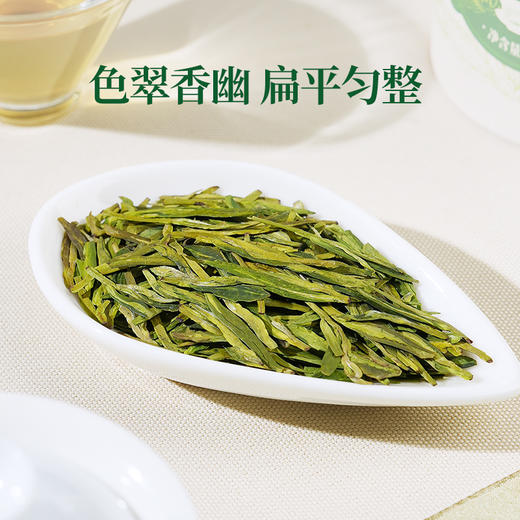 【送试泡】25年新茶华祥苑特级明前龙井头采绿茶兰香125g 商品图11