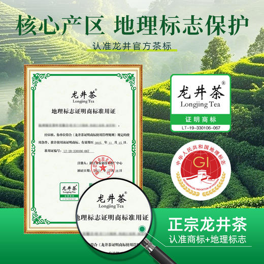 【2025新茶】茶马世家静界一级龙井200g罐装 商品图3