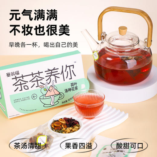塞翁福 茶茶养你荷叶洛神花茶40克 （减肥款） 商品图3