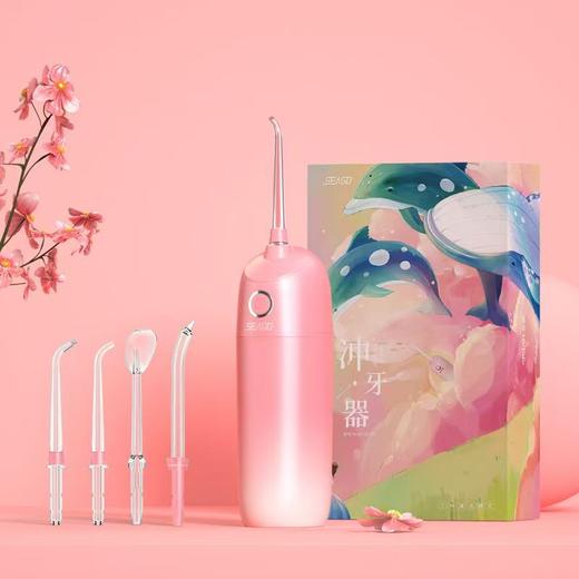 赛嘉seago冲牙器便携式洗牙器家用口腔清理神器水牙线口腔护理 商品图0