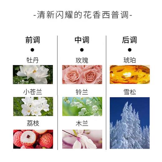Chloe蔻依同名肉丝带女士香水EDP20ML 商品图1