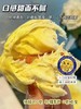 【限量秒杀】正宗象牌榴莲肉/榴莲桶，榴莲控的福音， 品质超好，每一颗果肉都是金枕A果！到货之后第一时间冷冻保藏！ 商品缩略图3