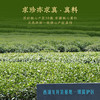 【2026新茶预售春茶幽香西湖龙井】卢正浩明前特级西湖龙井龙井茶绿茶西湖美景双瓷罐礼盒200g 商品缩略图3