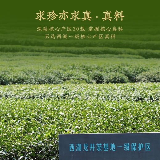 【2026新茶预售春茶幽香西湖龙井】卢正浩明前特级西湖龙井龙井茶绿茶西湖美景双瓷罐礼盒200g 商品图3
