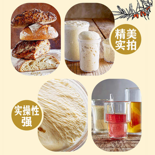 舌尖上的微生物：发酵的历史、食谱与创新 商品图5