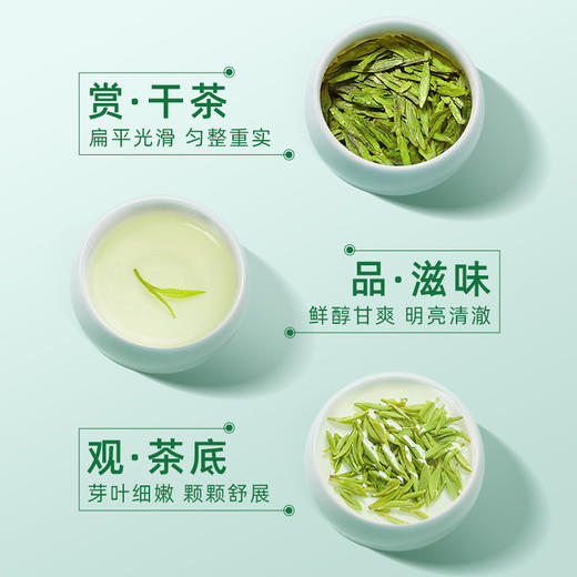 【2025新茶】茶马世家静界一级龙井200g罐装 商品图5