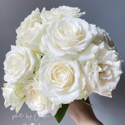 【山岚褶皱】玫瑰-雪山-单色随机40cm 10枝   | 新客福利 商品图4