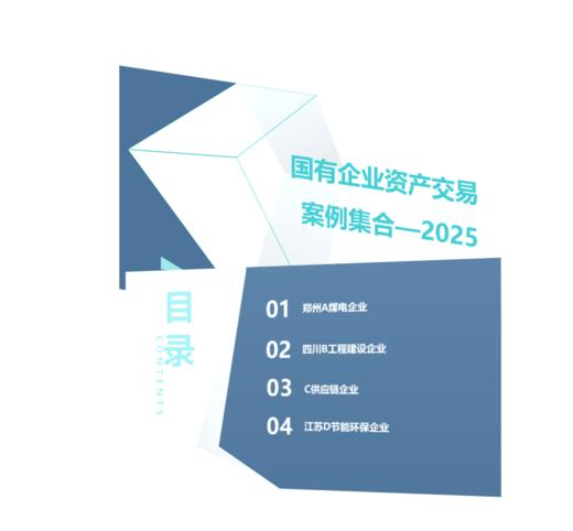 国有企业资产交易案例集合-2025 商品图0