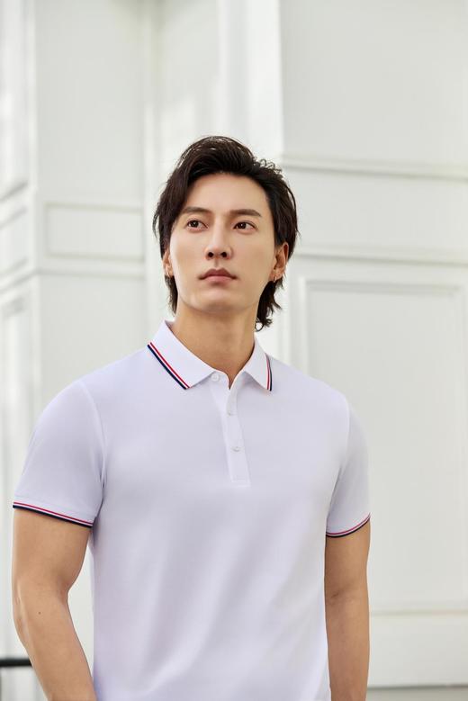 莫代尔桑蚕丝珠地7A抗菌间色翻领POLO衫 商品图11