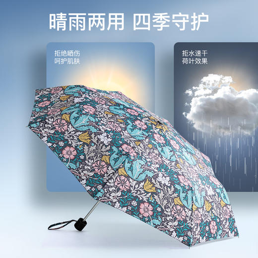 【爆款】FULTON富尔顿 英国进口Morris Minilite-2 UV Compton 三折伞 WFNM2402+FTBX-05 商品图5