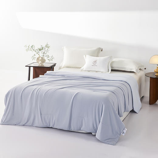 GRACE SPACE格调空间 深睡双面控温夏被 舒适轻柔云感空调被 商品图9