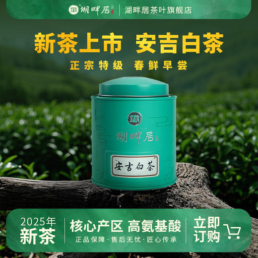 【新茶上市】湖畔居2025年春茶正宗明前安吉白茶茶叶精品特级80g绿茶 商品图0