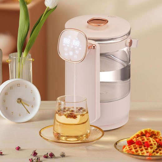 艾美特电热水瓶CS2513 商品图3