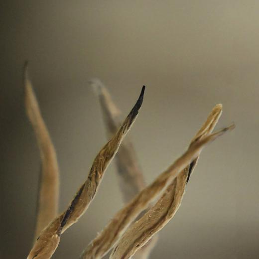 「滇红金针·2025」花漾蜜韵，口齿滑香（100g） 商品图1