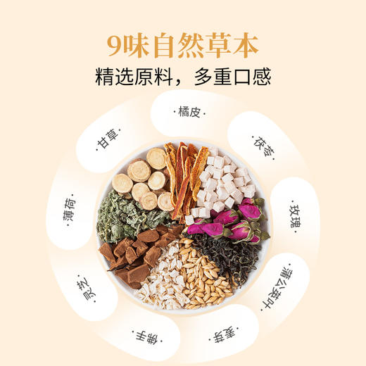 【方家铺子】蒲公英甘草茶240g（30袋）/盒 商品图2