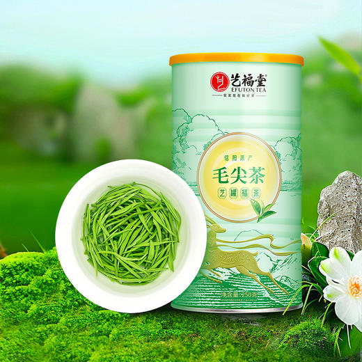 艺福堂信阳原产毛尖茶特级250g/罐 商品图1