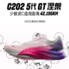 【马拉松】安踏C202 5 GT竞速训练系列女子跑鞋122355560 商品缩略图0