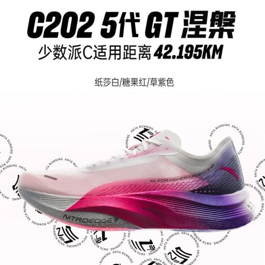 【马拉松】安踏C202 5 GT竞速训练系列女子跑鞋122355560 商品图0