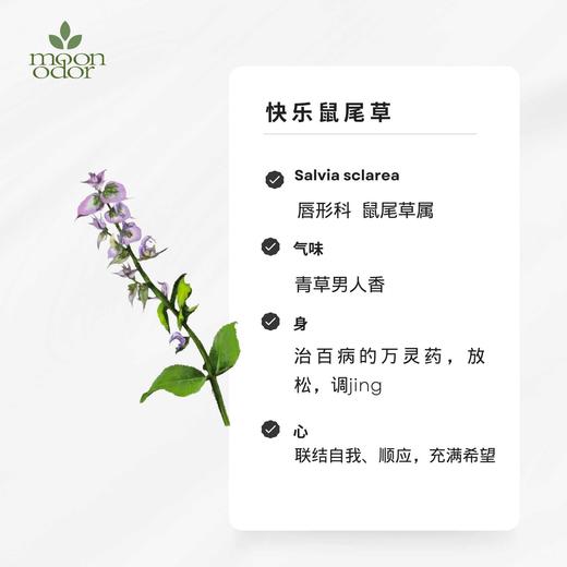 有机快乐鼠尾草精油  【香气031】 商品图0