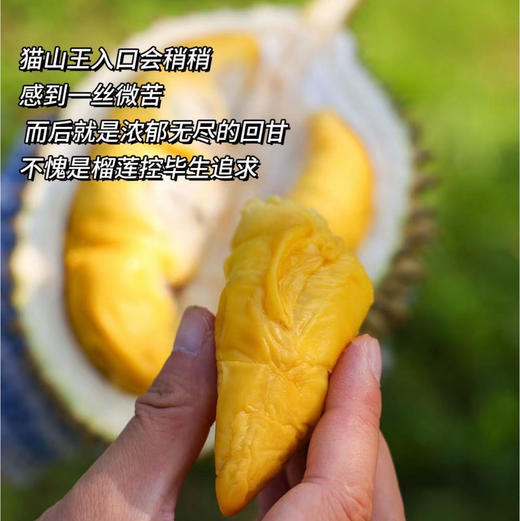 帝一榴马来西亚猫山王 商品图2