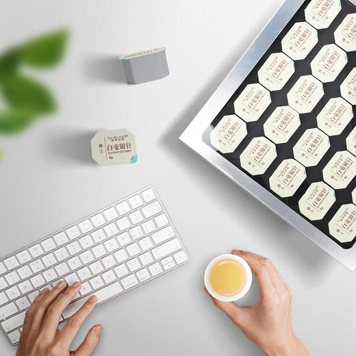 【赠观山杯】华祥苑-雅士特级福鼎白毫银针商务礼盒100g 商品图8