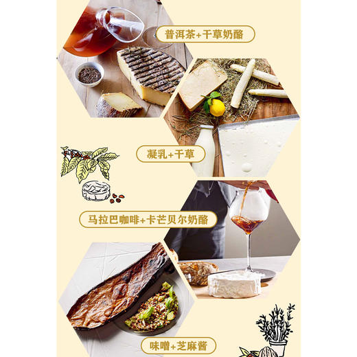 舌尖上的微生物：发酵的历史、食谱与创新 商品图3