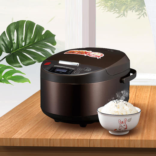 艾美特微电脑电饭煲CF3001 商品图3