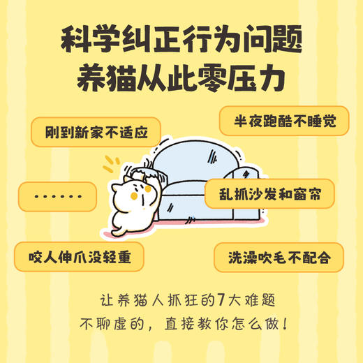 零压力猫咪行为训练 商品图1