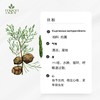有机丝柏精油  【香气032】 商品缩略图0