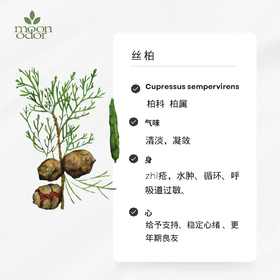 有机丝柏精油  【香气032】