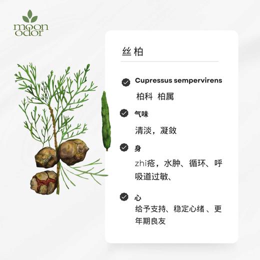 有机丝柏精油  【香气032】 商品图0