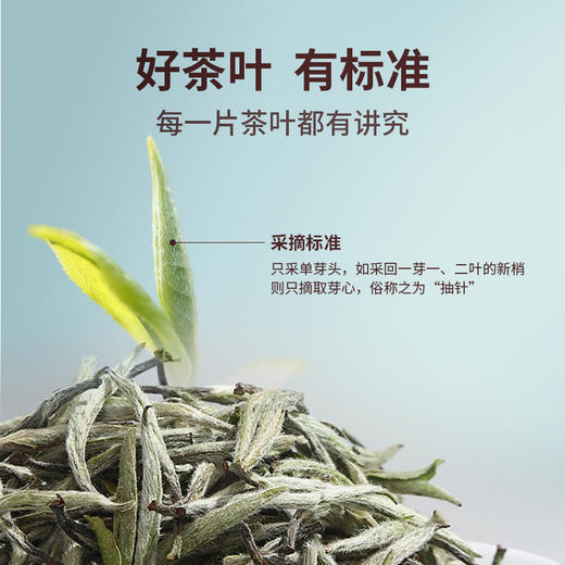 【赠观山杯】华祥苑-雅士特级福鼎白毫银针商务礼盒100g 商品图1