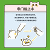 零压力猫咪行为训练 商品缩略图4