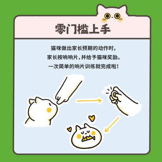 零压力猫咪行为训练 商品图4