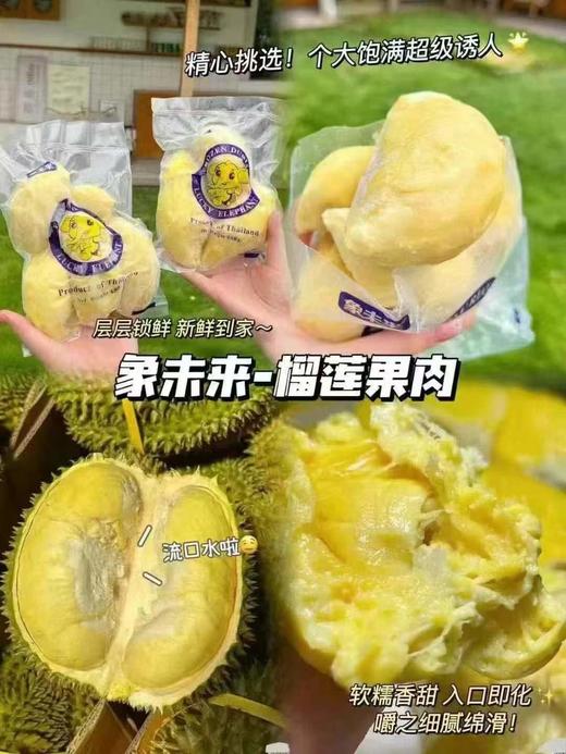 【限量秒杀】正宗象牌榴莲肉/榴莲桶，榴莲控的福音， 品质超好，每一颗果肉都是金枕A果！到货之后第一时间冷冻保藏！ 商品图11