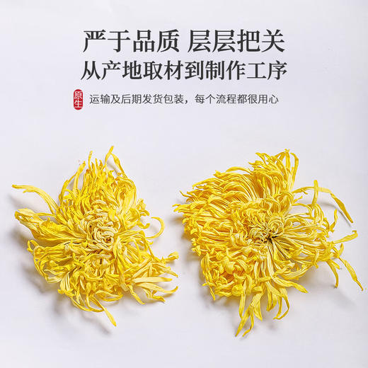 【生态有机皇菊】 金丝菊  清热明目养肝 商品图3