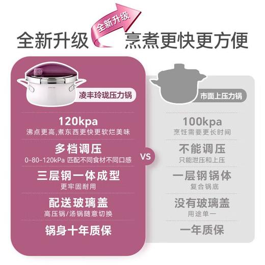 凌丰玲珑压力锅3L（附带汤锅盖） 商品图1